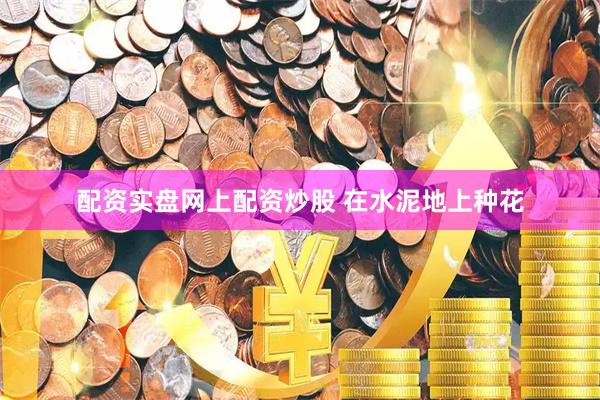 配资实盘网上配资炒股 在水泥地上种花