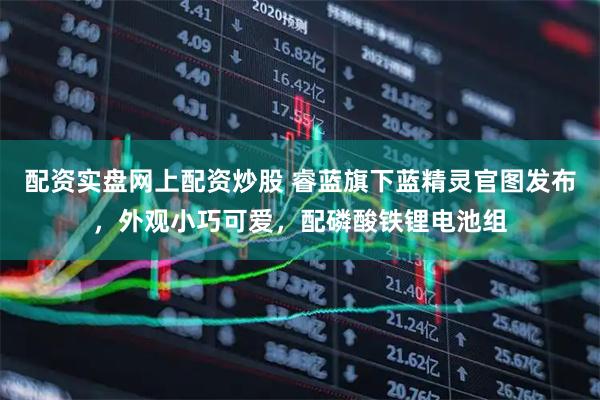 配资实盘网上配资炒股 睿蓝旗下蓝精灵官图发布，外观小巧可爱，配磷酸铁锂电池组