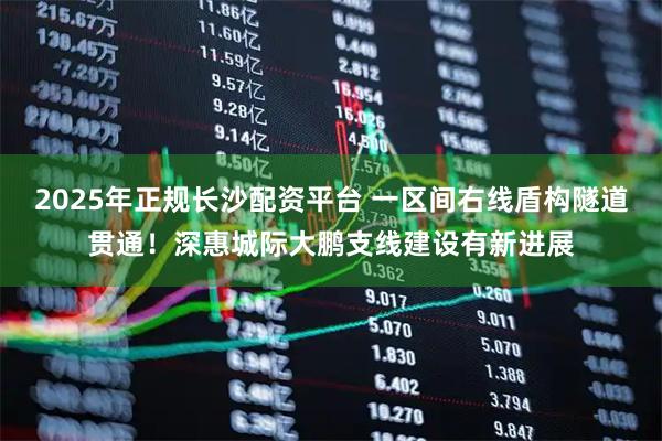 2025年正规长沙配资平台 一区间右线盾构隧道贯通！深惠城际大鹏支线建设有新进展