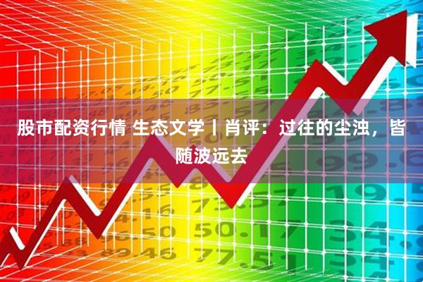 股市配资行情 生态文学丨肖评：过往的尘浊，皆随波远去