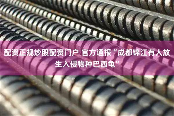 配资正规炒股配资门户 官方通报“成都锦江有人放生入侵物种巴西龟”